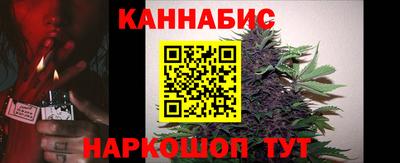 spice Славгород