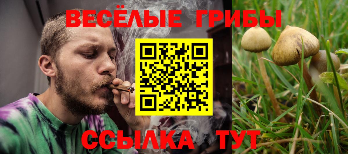 Саянск  Псилоцибиновые грибы MAGIC MUSHROOMS  Вход с VPN 
